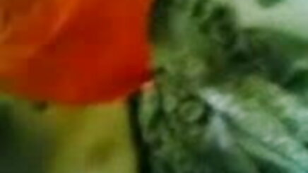 FCDVD0165 বাঙালি সেক্স ভিডিও এইচডি
